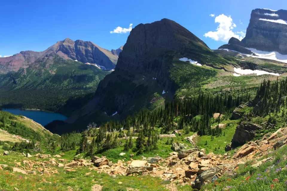 Montana